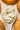 spoon of cream cheese