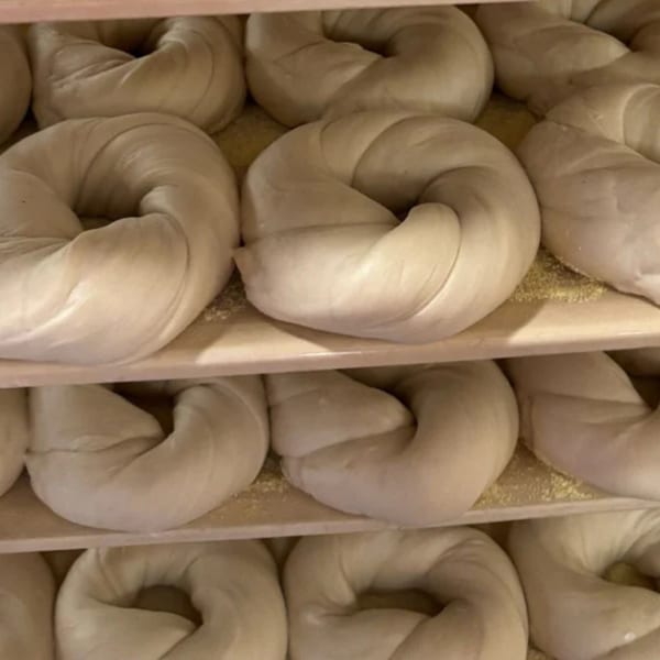 Rows of raw bagel dough, ready for baking, on wooden shelves at Go Bagels.